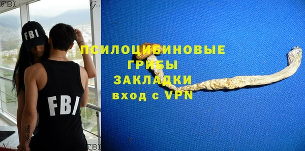 a pvp Белокуриха