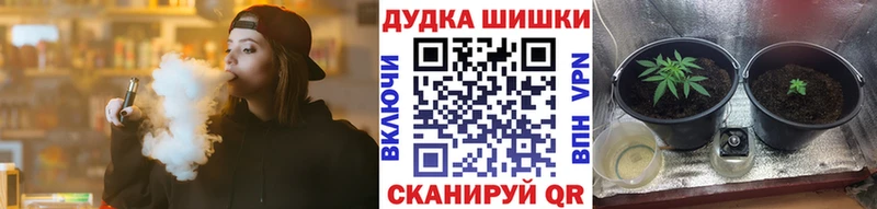 Канабис ГИДРОПОН  Купить  Дивногорск 